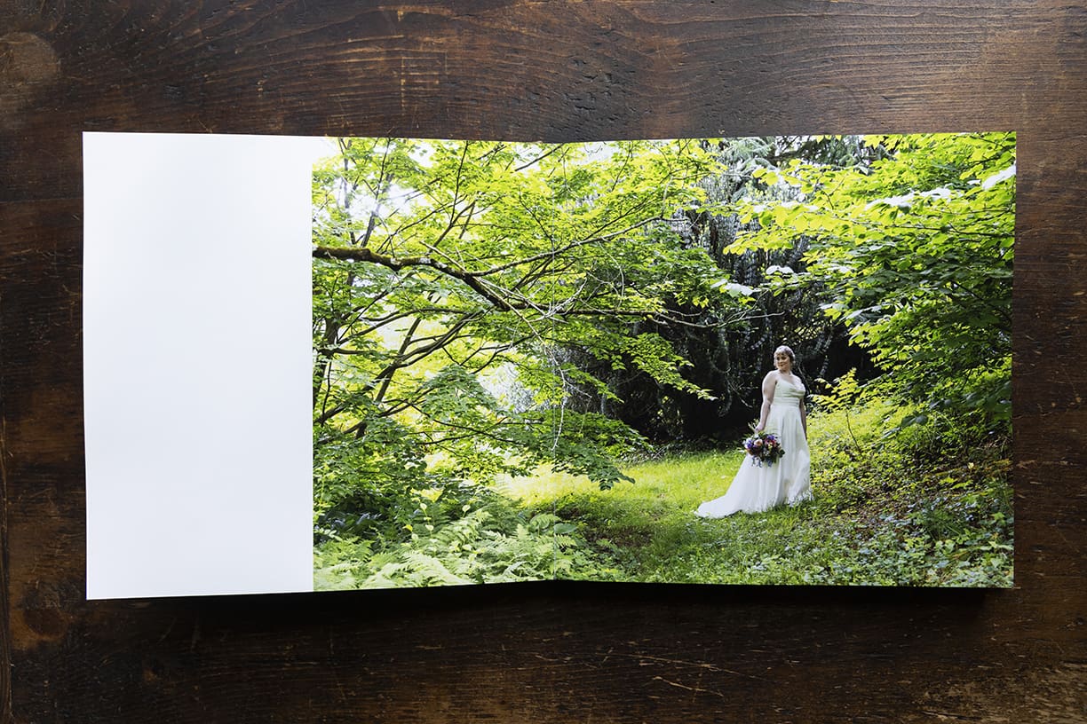 Philadelphia couple’s wedding album at Tyler Arboretum 